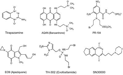 Targeting Hypoxia: Hypoxia-Activated Prodrugs in Cancer Therapy